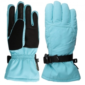 Ski Gloves