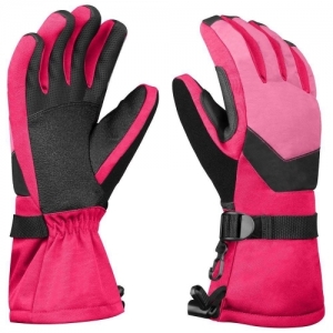 Ski Gloves