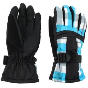 Ski Gloves