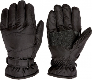 Winter Glove