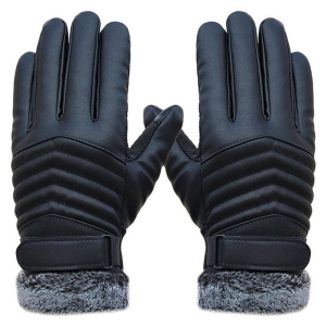 Winter Glove