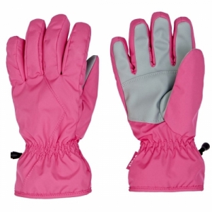 Ski Gloves